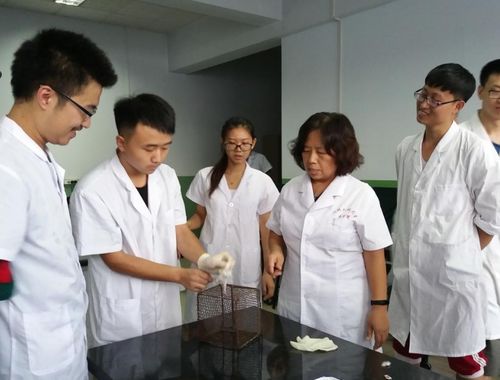 铁饭碗 工资或将上涨,医生岗获多数人支持,教师却遭质疑