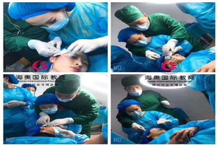 石家庄哪家微整形培训学校口碑好